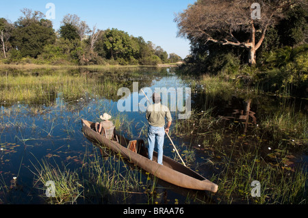 Abu Camp, Okavango Delta, Botswana, Africa Foto Stock