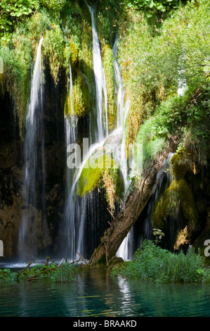 Cascate nel Parco Nazionale dei Laghi di Plitvice, patrimonio mondiale dell UNESCO, Croazia, Europa Foto Stock