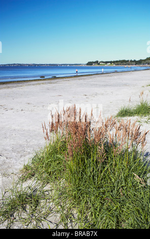 Pirita Beach, Tallinn, Estonia, paesi baltici, Europa Foto Stock