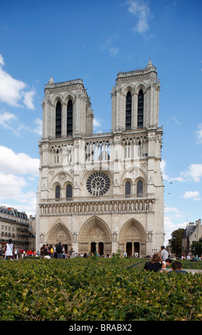 La cattedrale di Notre Dame di Parigi, Parigi, Francia, Europa Foto Stock
