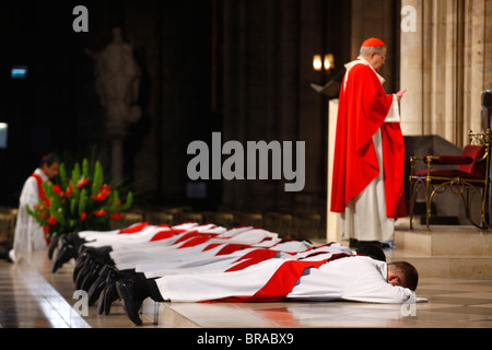 Sacerdote ordinazioni nella cattedrale di Notre Dame, Paris, Francia, Europa Foto Stock