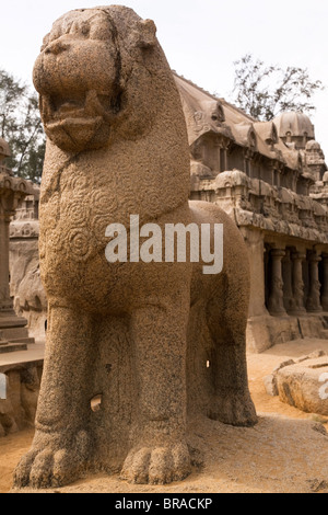 Leone in piedi nella parte anteriore del Draupadi Ratha entro cinque Rathas complesso a Mahabalipuram, UNESCO, Tamil Nadu, India Foto Stock