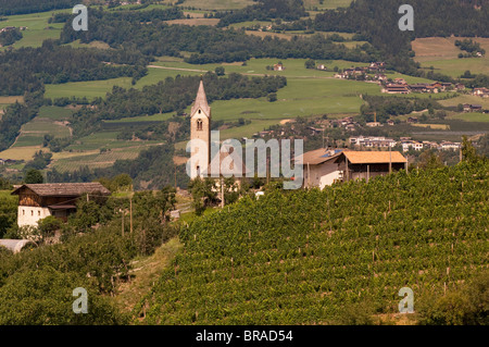 Vigneti, Tiso, Val di Funes (Villnoss), Dolomiti, Trentino Alto Adige, Alto Adige, Italia, Europa Foto Stock