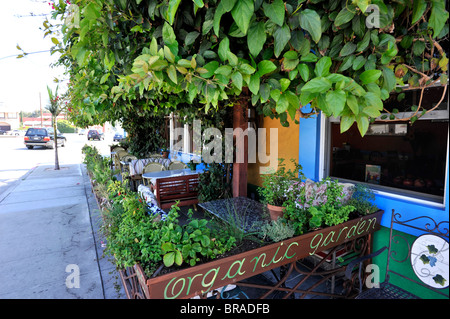 Cafe Brasil di Culver City Los Angeles è un elegante pet friendly motel-cafe. Foto Stock