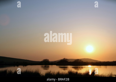 Ampia piscina Penisola di Gower swansea wales uk Foto Stock