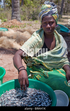 , Kizimkazi Dimbani, Zanzibar, Tanzania. Donna con le acciughe. Foto Stock