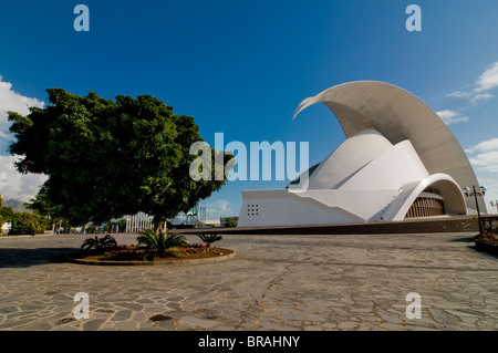 Il Teatro dell'Opera di Santa Cruz de Tenerife, da Santiago Calatrava, Santa Cruz Tenerife, Isole Canarie, Spagna Foto Stock