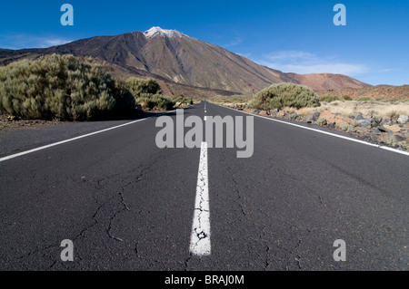 Strada che conduce a El vulcano Teide, Tenerife, Isole Canarie, Spagna, Europa Foto Stock