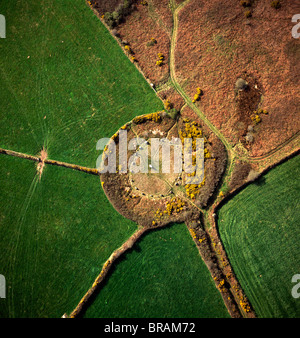 Immagine aerea di Boscawen-Un cerchio di pietra, con ginestre fiori, San Buryan, Cornwall, England, Regno Unito, Europa Foto Stock