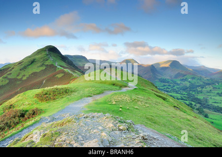 La mattina la luce del sole estivo su Cat campane, Newlands Valley e il Derwent Fells, Lake District inglese Foto Stock