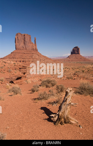 West Mitten Butte sul lato sinistro e sul lato est Mitten butte sulla destra, il parco tribale Navajo Monument Valley, Arizona, Stati Uniti d'America Foto Stock