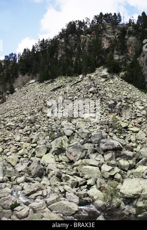 Pesante caduta massi di frana a fianco dei Pirenei via traversa in valle Ratera a Sant Maurici Parco Nazionale Pirenei Spagna Foto Stock