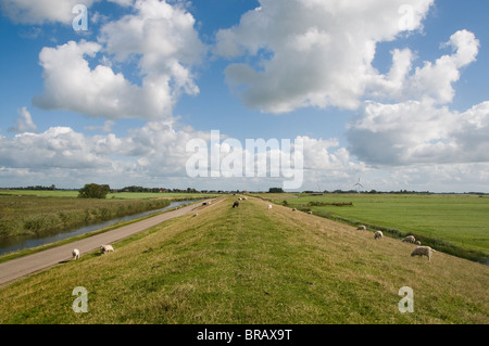 Frisia Hindeloopen vecchio pesce pesca città IJsselmeer Fryslan Paesi Bassi Foto Stock