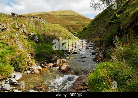 Carlingill Beck e Carlingill Valley vicino a York in Howgill Fells, Yorkshire Dales National Park, Cumbria, Inghilterra. Foto Stock