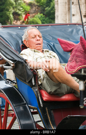 Un anziano gentiluomo hanno un sonno durante il giorno in una trappola di cavallo / carrello Foto Stock
