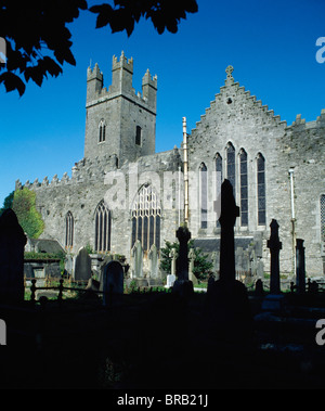 La Cattedrale di Santa Maria,città di Limerick,co limerick, Irlanda;Vista del sagrato Foto Stock