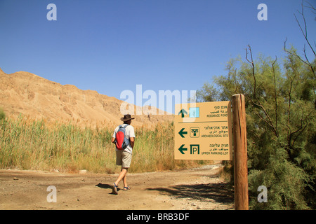 Mar Morto Valley, Einot Tzukim Parco Nazionale Foto Stock