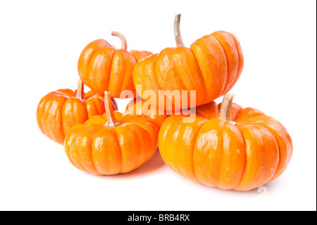 Un gruppo di zucche su una superficie bianca. Foto Stock