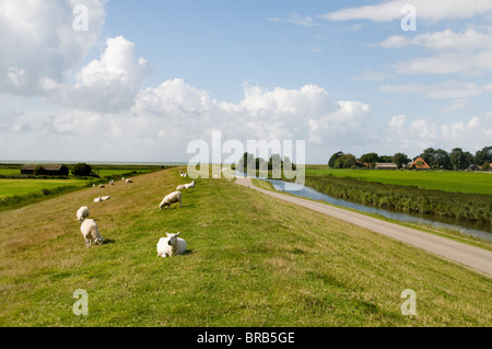 Frisia Hindeloopen vecchio pesce pesca città IJsselmeer Fryslan Paesi Bassi Foto Stock