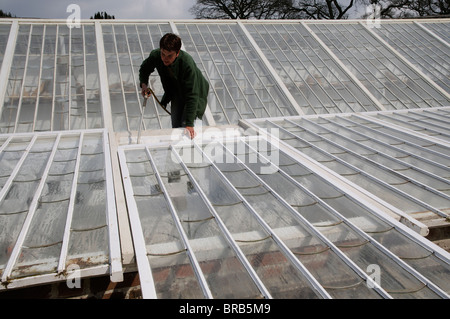 Irrigazione giardiniere piante che crescono in telai a freddo Foto Stock