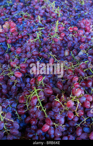 Pila di rosso e blu uva al Mercato degli Agricoltori Foto Stock