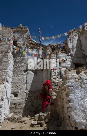 Monaco presso il Namgyal Tsemo Gompa Foto Stock