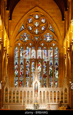 Navata centrale e una corsia su entrambi i lati, St. Mary s Cathedral di Sydney, Nuovo Galles del Sud, Australia Foto Stock