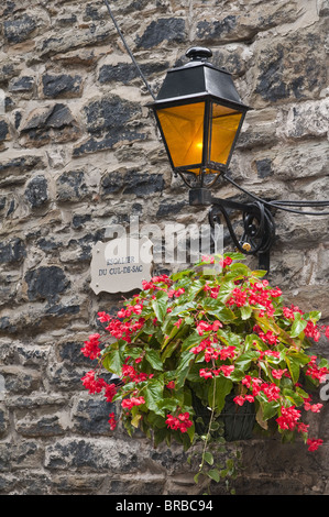 Decorazioni floreali in città vecchia. Quebec City, Quebec, Canada Foto Stock