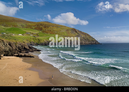 L'Irlanda Contea di Kerry Penisola di Dingle Foto Stock