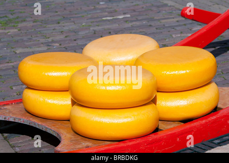 Il formaggio su il tradizionale mercato del formaggio di Alkmaar, Olanda Foto Stock
