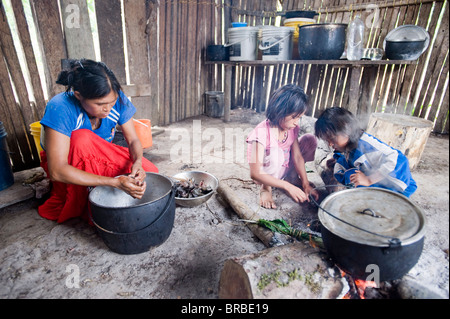 La cottura di piantaggine, Amazon, Ecuador Foto Stock