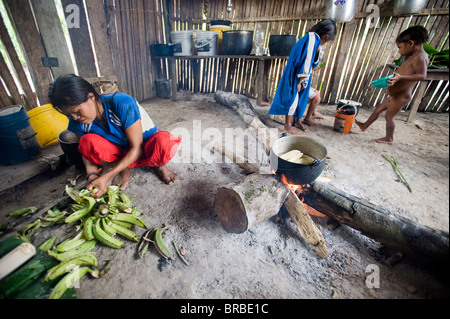 La cottura di piantaggine, Amazon, Ecuador Foto Stock