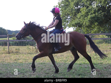 Una ragazza teeage in sella a una bella baia Welsh Cob Foto Stock