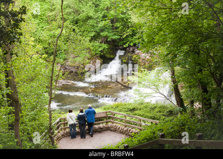 Gli ospiti godono del Medio cade sul Fiume Ure a Aysgarth, North Yorkshire, Wensleydale, Yorkshire Dales National Park Foto Stock