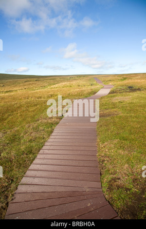 Il sentiero pedonale, Hermaness, Unst, isole Shetland, Scozia Foto Stock