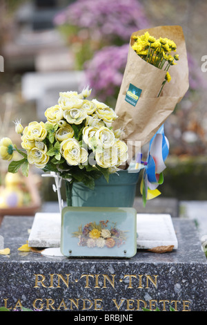 Rin Tin Tin la sua tomba, Asnieres cimitero animale, Asnieres, Hauts-de-Seine, Francia Foto Stock