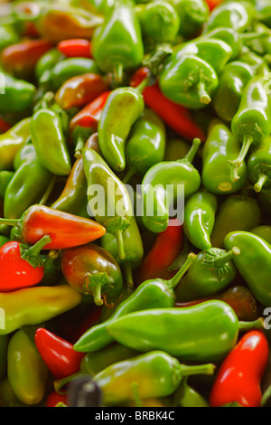 Un mucchio di colore rosso e verde Jalapeño peperoni in vendita presso il mercato degli agricoltori Foto Stock