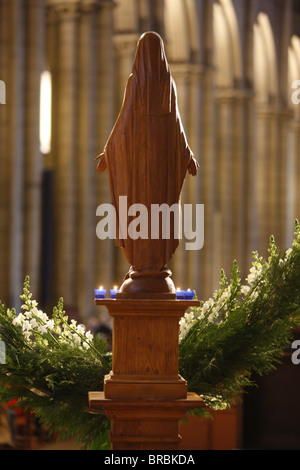 Statua di Maria nella cattedrale di San Giovanni, Lione, Rhone, Francia Foto Stock