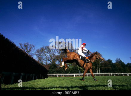 Il cavallo e la terra jockey in modo sicuro su grandi siepi recinzione in gara Foto Stock