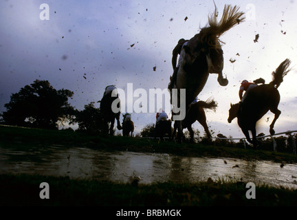 Siepi horse racing come piloti terra dopo il salto di acqua Foto Stock