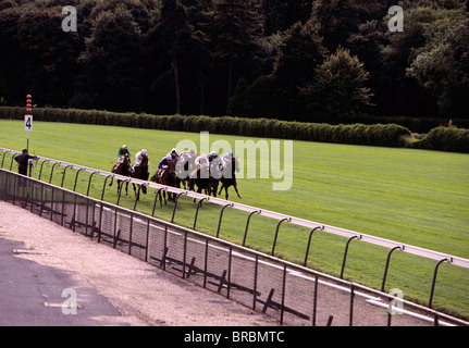 Gruppo di cavalli e fantini oltre i quattro furlong marcatore sulla pista da corsa Foto Stock