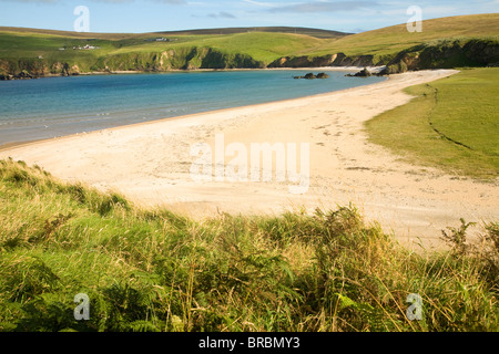 Spiaggia sabbiosa Burrafirth, Unst, isole Shetland, Scozia Foto Stock