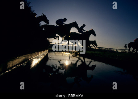 Siepi fantini saltare i loro cavalli over water jump Foto Stock