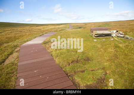 Il sentiero pedonale, Hermaness, Unst, isole Shetland, Scozia Foto Stock