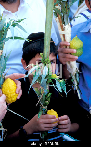 La benedizione sacerdotale cerimonia attraverso il Muro Occidentale a Succot, una preghiera con le quattro specie, Città Vecchia, Jerudalem, Israele Foto Stock