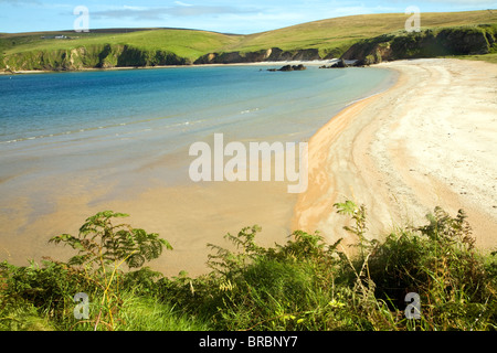 Spiaggia sabbiosa Burrafirth, Unst, isole Shetland, Scozia Foto Stock