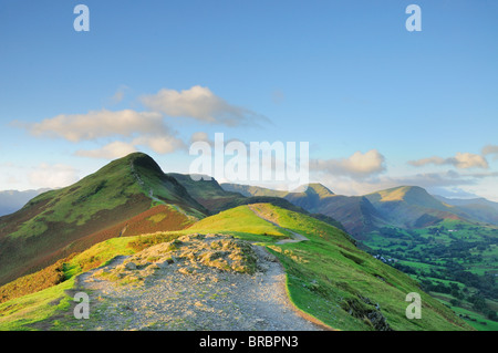 La mattina la luce del sole estivo su Cat campane, Newlands Valley e il Derwent Fells, Lake District inglese Foto Stock