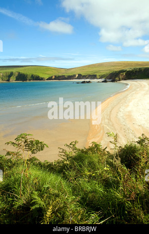 Spiaggia sabbiosa Burrafirth, Unst, isole Shetland, Scozia Foto Stock