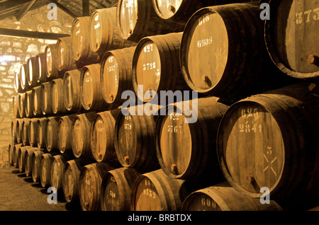 Il vino di Porto la maturazione in botti di vino nelle cantine, Vila Nova de Gaia, Porto, Portogallo Foto Stock