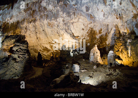 Grotte di Skocjan, Sito Patrimonio Mondiale dell'UNESCO, Slovenia Foto Stock